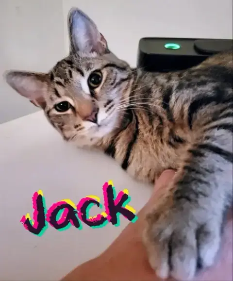 Jack