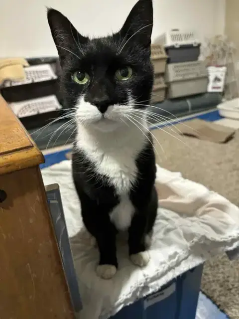 Buddy