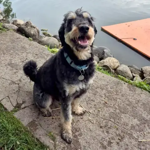 Odin photo 5