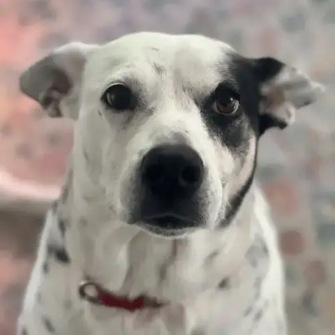 Nora photo 4
