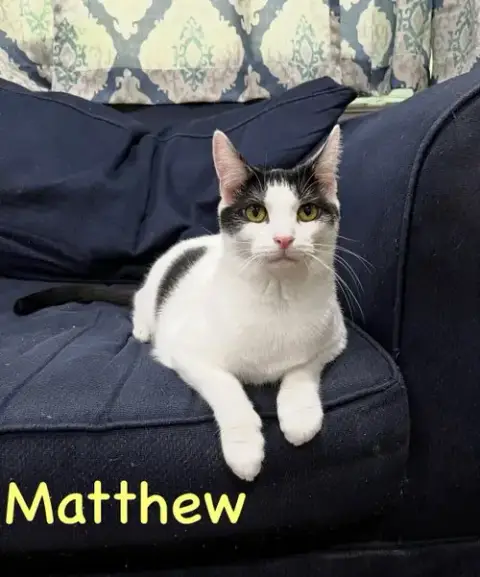 Mickey W/Matthew Willow Grove photo 2