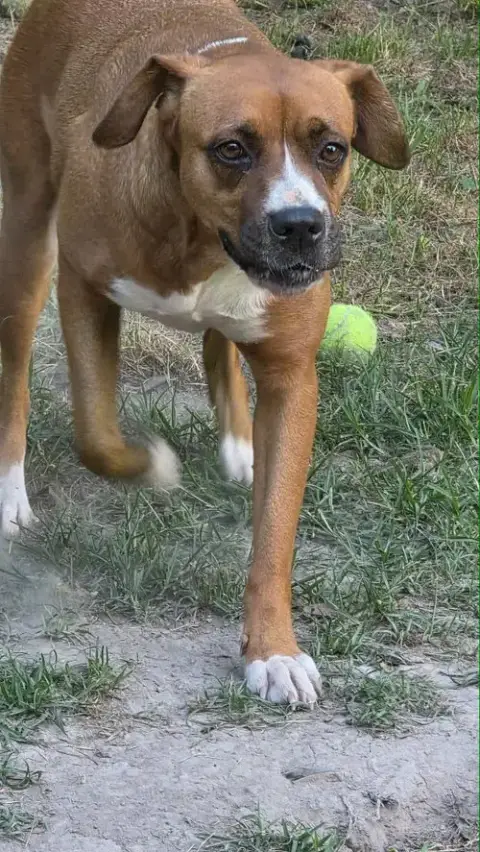 Mochie photo 3