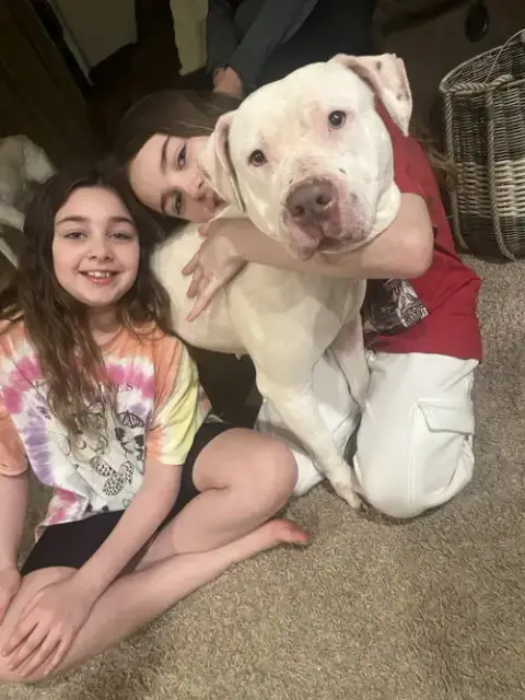 Sadie Mae photo 5