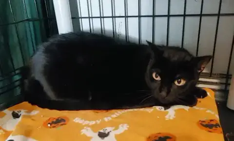 Stormy