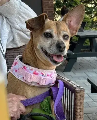 Lily Nason Nj photo 2