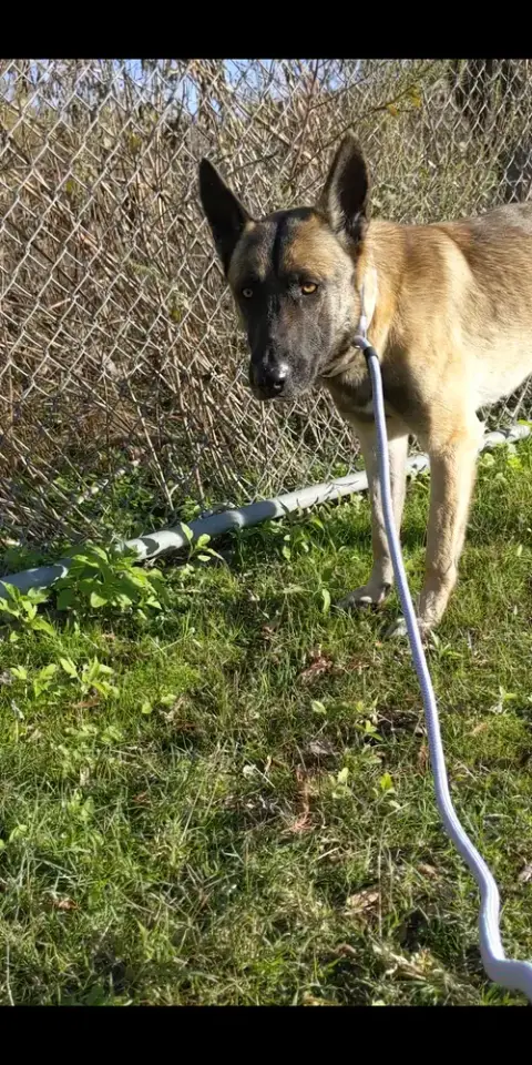 Hunter photo 4