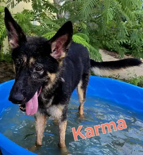 Karma photo 2