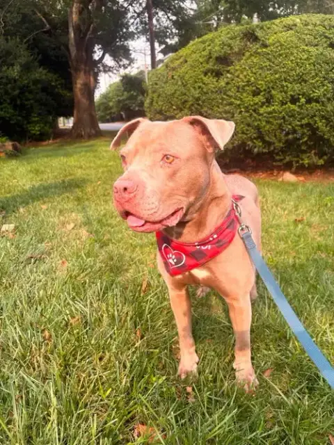 Waylon photo 2