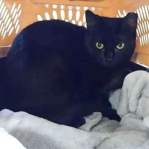 Tia photo 4
