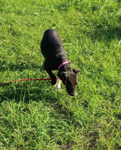 Oakley photo 3