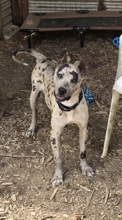 Jasmine: Not At Shelter