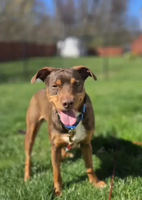 Penny Scas photo 5