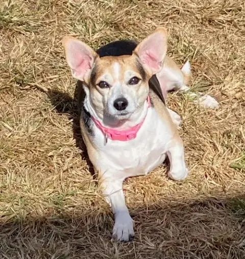 Sweet Girl Lamore Aug 22 photo 5
