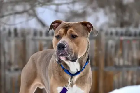 Zeus photo 3