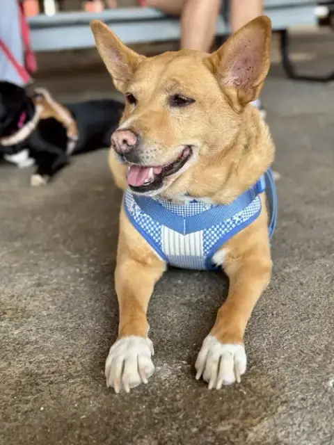 Lola photo 3