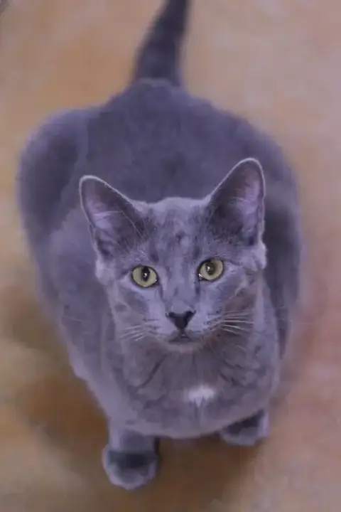 Dusty photo 5