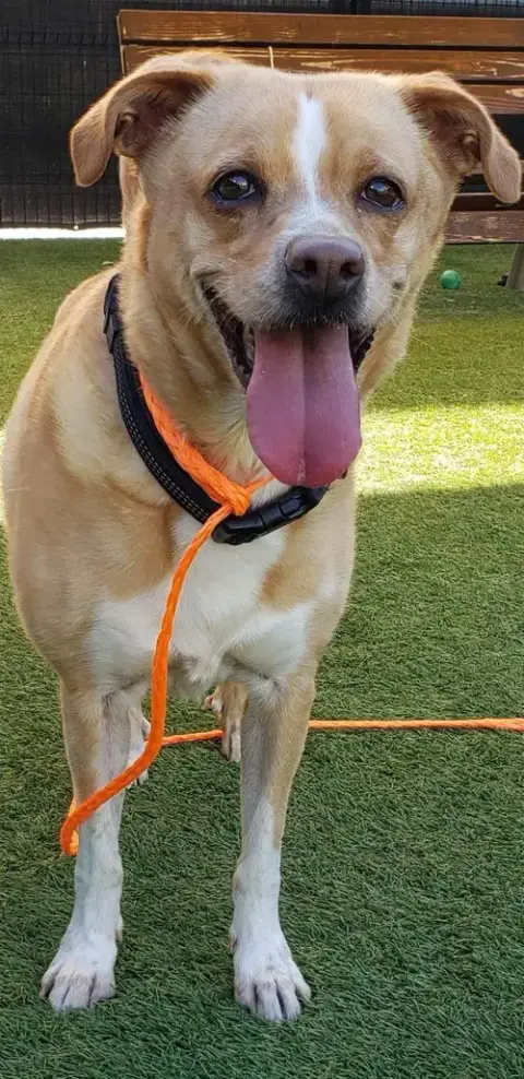 Bella photo 2