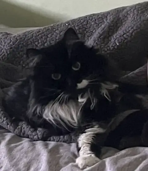 Molly