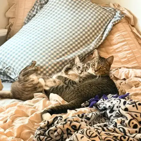 Beans & Beanie
