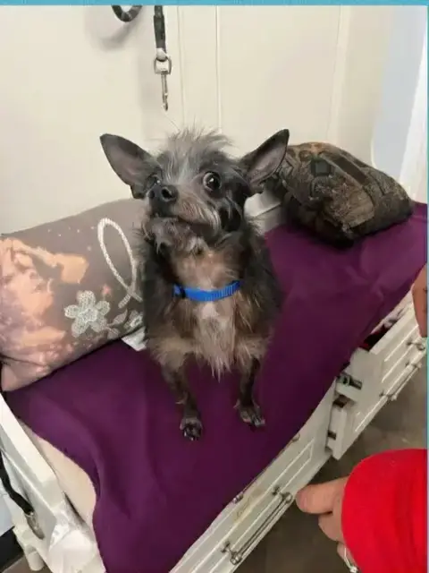 Lil Duke photo 3