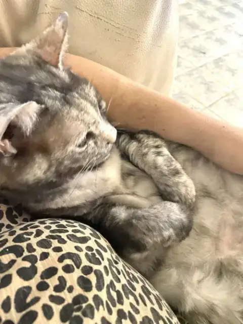 Kaia photo 2