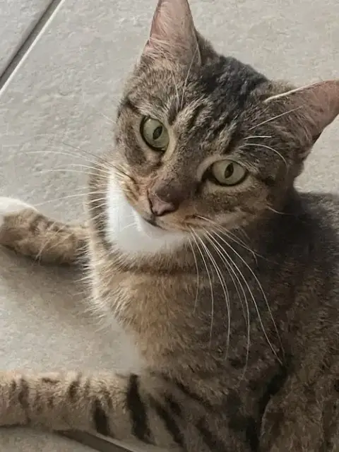 Sweetie