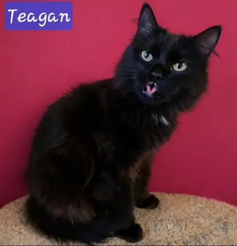 Teagan photo 2