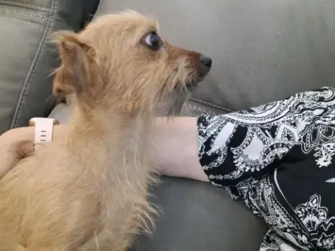 Bonnie photo 3