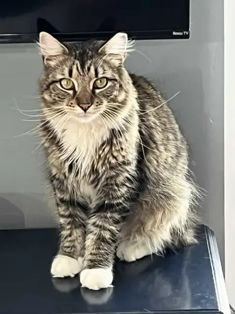 Sebastian photo 2