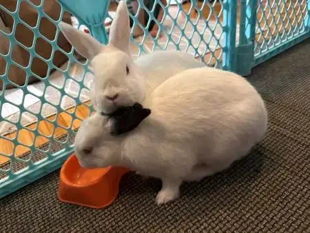 Jack & Melan