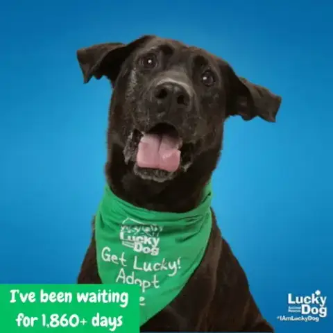 Mikey