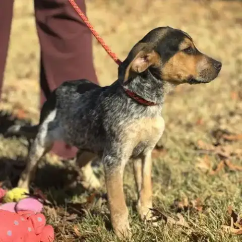 Darby    Lower Fee! photo 2