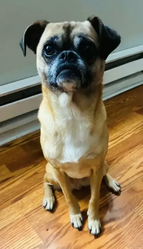 Mimi photo 3