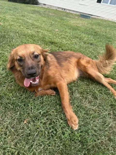 Penny