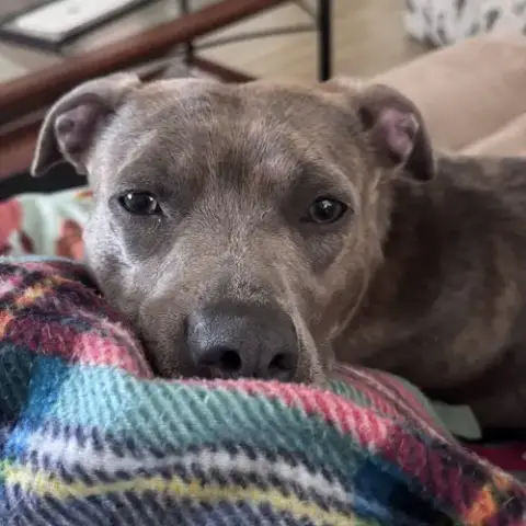 Mahina