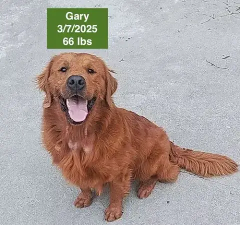 Gary