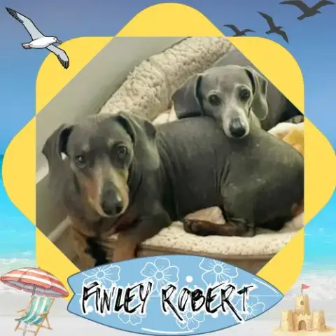 Finley Robert+