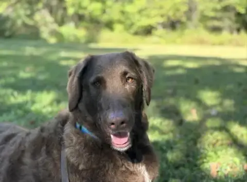 Murphy