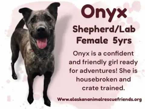 Onyx photo 2