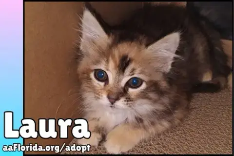 Laura photo 2