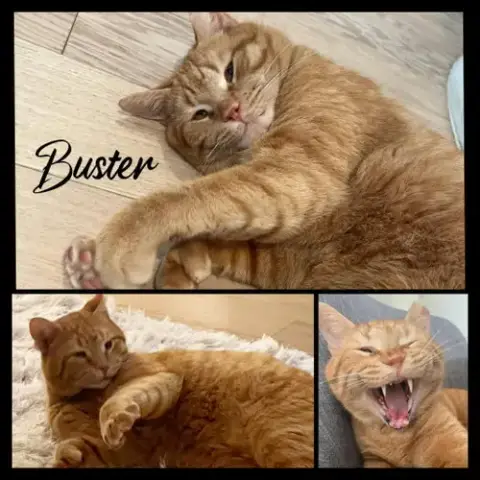 Buster photo 2