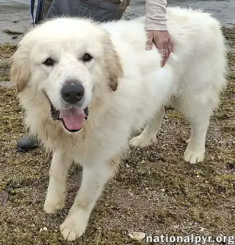 Max In Ct photo 2