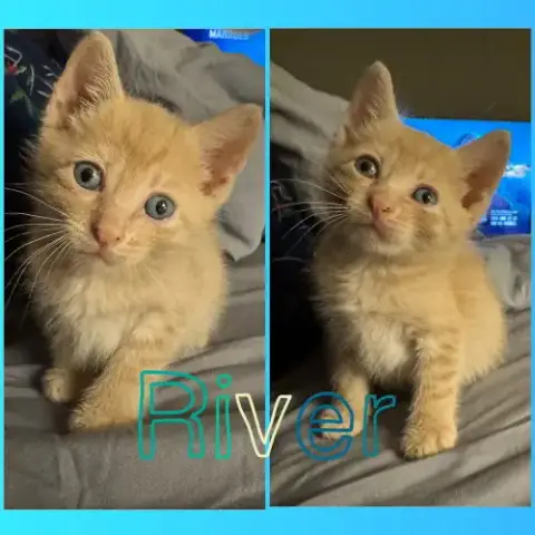 River