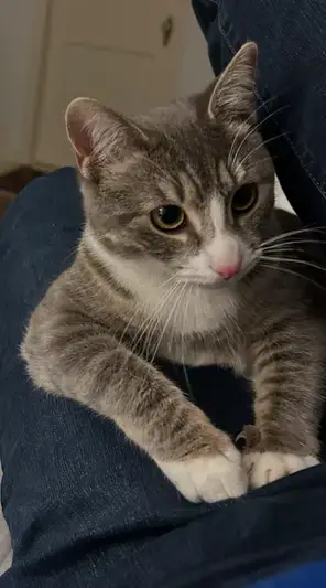 Carly Kat photo 3