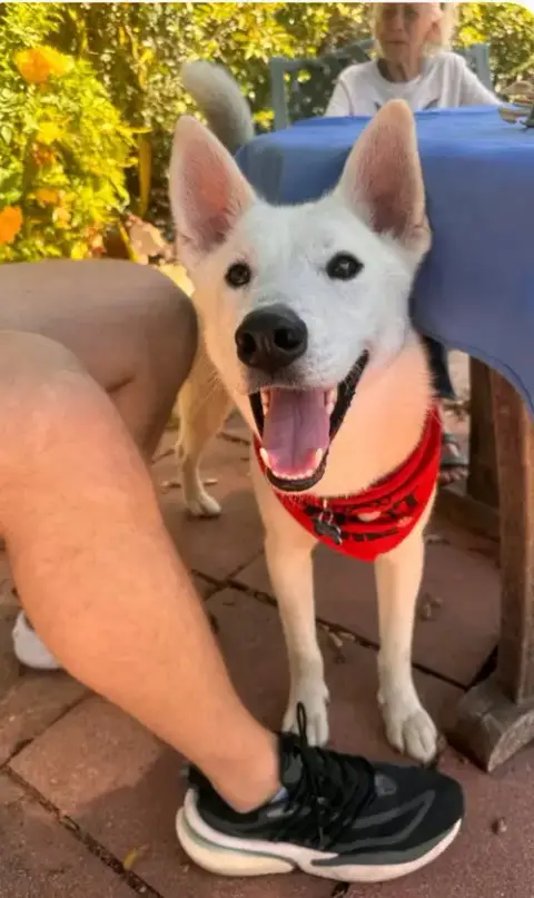 Jake photo 3