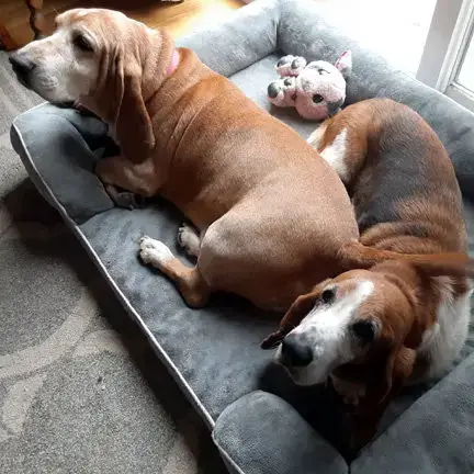 Fred & Ellie