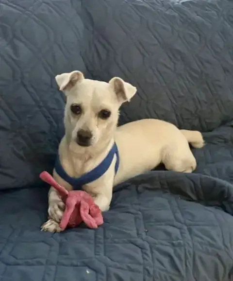 Casper