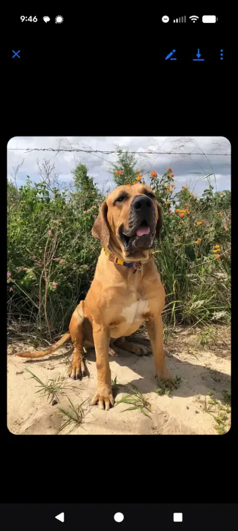 Jax photo 4