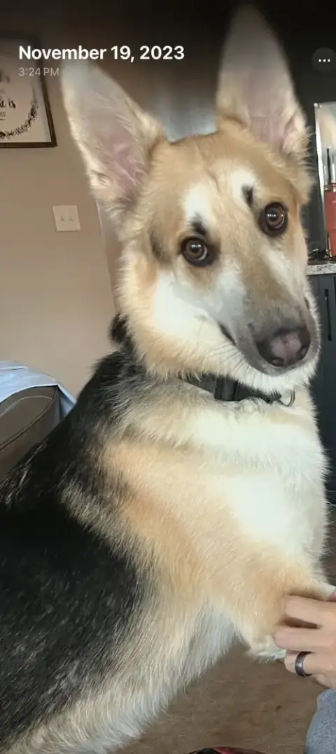 Archer