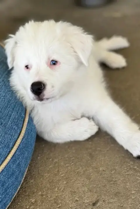 Lucy photo 3